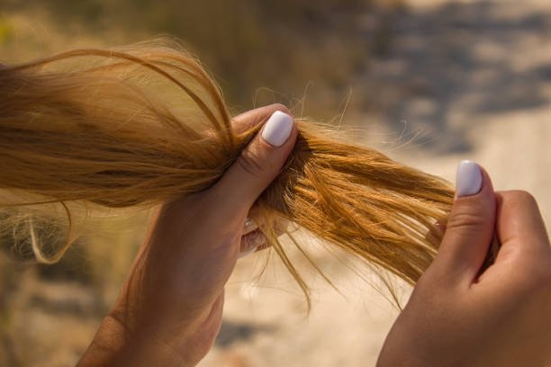 Qué Hacer si Tienes el Cabello Seco: Consejos Fáciles